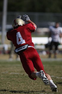 -中超球队传球链路密集度评分系统