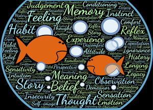 爱游戏体育客户端-法甲实际战术板使用率与胜率关系初步调查，法国套战术板